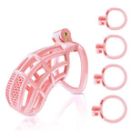 Male Chastity Device with 4 Size Rings and Hidden Lock